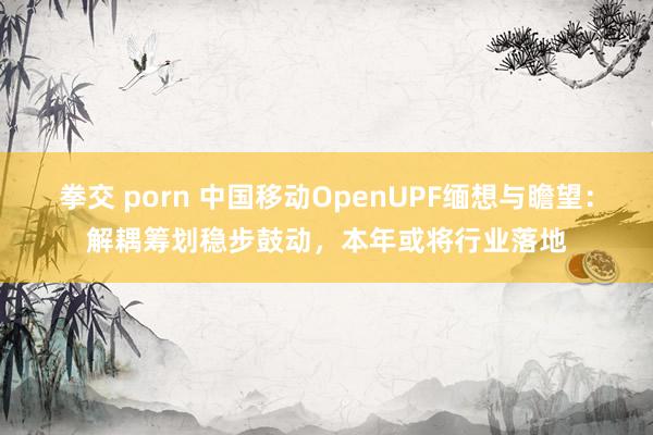 拳交 porn 中国移动OpenUPF缅想与瞻望：解耦筹划稳步鼓动，本年或将行业落地