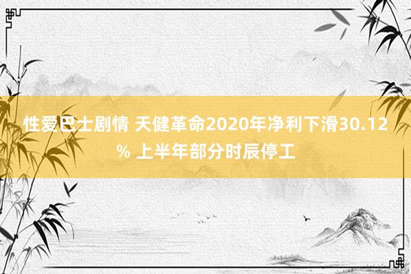 性爱巴士剧情 天健革命2020年净利下滑30.12% 上半年部分时辰停工