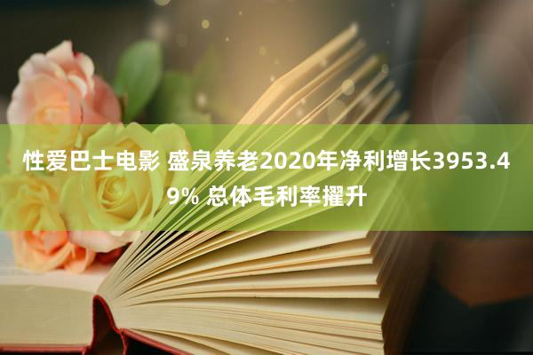 性爱巴士电影 盛泉养老2020年净利增长3953.49% 总体毛利率擢升