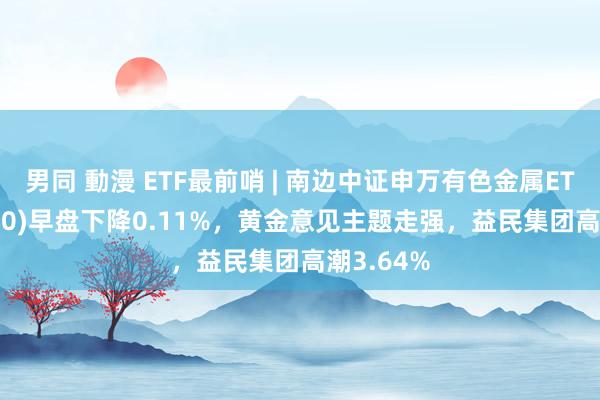 男同 動漫 ETF最前哨 | 南边中证申万有色金属ETF(512400)早盘下降0.11%，黄金意见主题走强，益民集团高潮3.64%