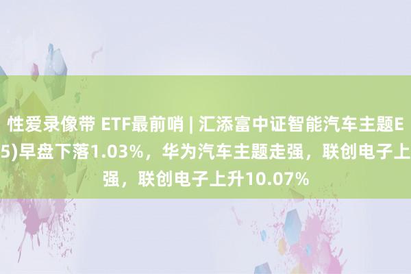 性爱录像带 ETF最前哨 | 汇添富中证智能汽车主题ETF(159795)早盘下落1.03%，华为汽车主题走强，联创电子上升10.07%