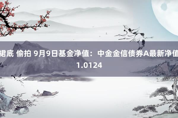 裙底 偷拍 9月9日基金净值：中金金信债券A最新净值1.0124