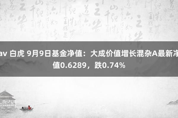 av 白虎 9月9日基金净值：大成价值增长混杂A最新净值0.6289，跌0.74%