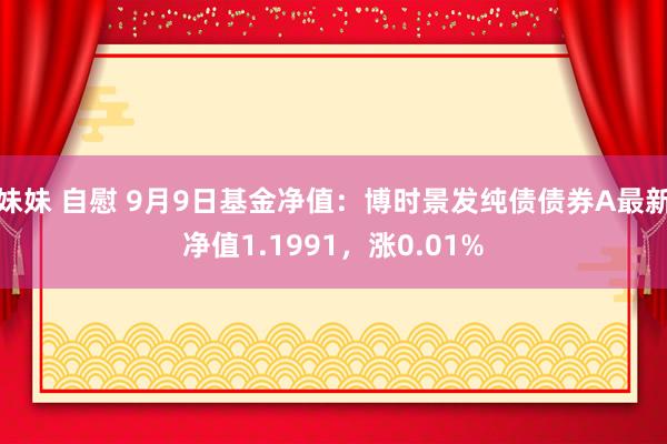 妹妹 自慰 9月9日基金净值：博时景发纯债债券A最新净值1.1991，涨0.01%