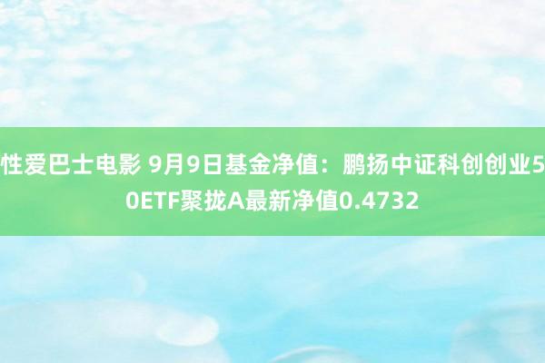 性爱巴士电影 9月9日基金净值：鹏扬中证科创创业50ETF聚拢A最新净值0.4732