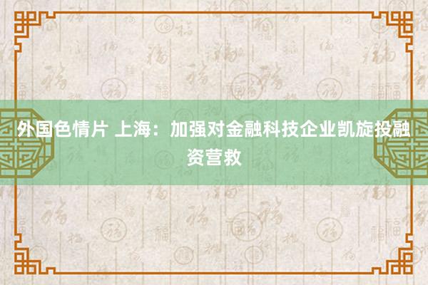 外国色情片 上海：加强对金融科技企业凯旋投融资营救