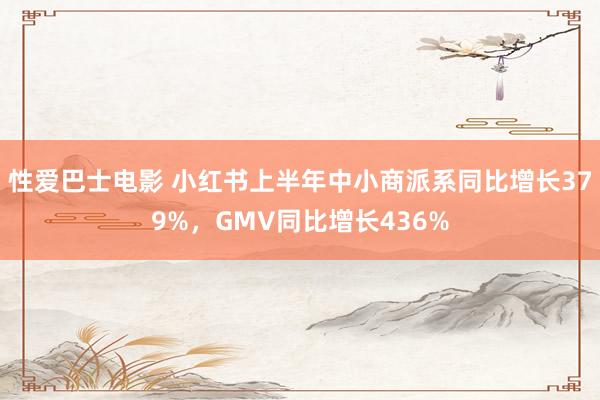 性爱巴士电影 小红书上半年中小商派系同比增长379%，GMV同比增长436%