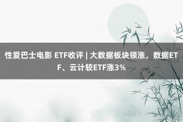 性爱巴士电影 ETF收评 | 大数据板块领涨，数据ETF、云计较ETF涨3%