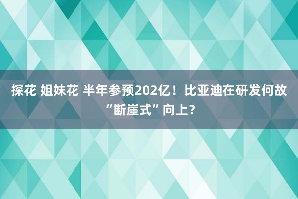 探花 姐妹花 半年参预202亿！比亚迪在研发何故“断崖式”向上？