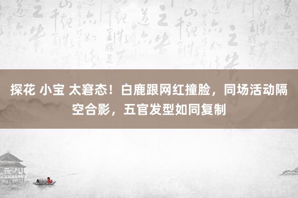 探花 小宝 太窘态！白鹿跟网红撞脸，同场活动隔空合影，五官发型如同复制