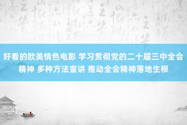 好看的欧美情色电影 学习贯彻党的二十届三中全会精神 多种方法宣讲 推动全会精神落地生根