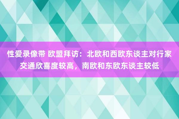 性爱录像带 欧盟拜访：北欧和西欧东谈主对行家交通欣喜度较高，南欧和东欧东谈主较低