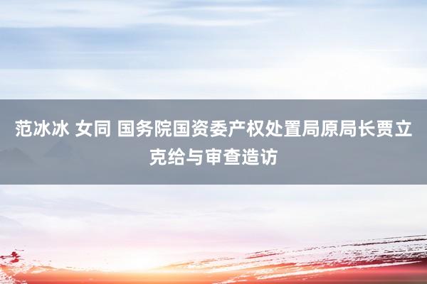 范冰冰 女同 国务院国资委产权处置局原局长贾立克给与审查造访