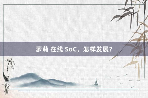 萝莉 在线 SoC，怎样发展？