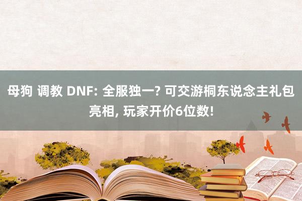 母狗 调教 DNF: 全服独一? 可交游桐东说念主礼包亮相， 玩家开价6位数!