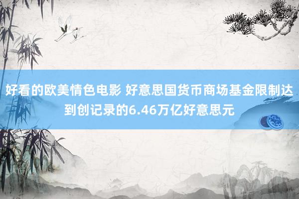 好看的欧美情色电影 好意思国货币商场基金限制达到创记录的6.46万亿好意思元