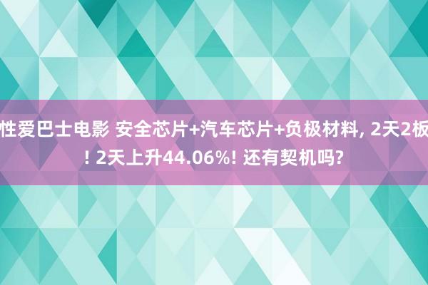 性爱巴士电影 安全芯片+汽车芯片+负极材料， 2天2板! 2天上升44.06%! 还有契机吗?