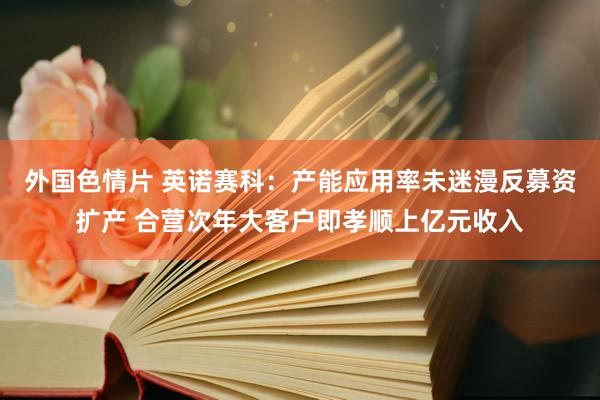 外国色情片 英诺赛科：产能应用率未迷漫反募资扩产 合营次年大客户即孝顺上亿元收入