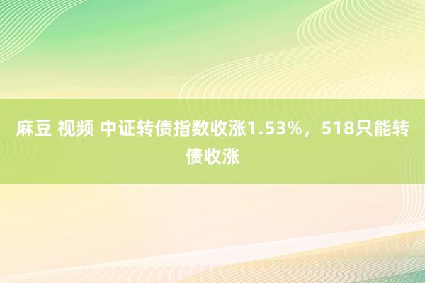 麻豆 视频 中证转债指数收涨1.53%，518只能转债收涨