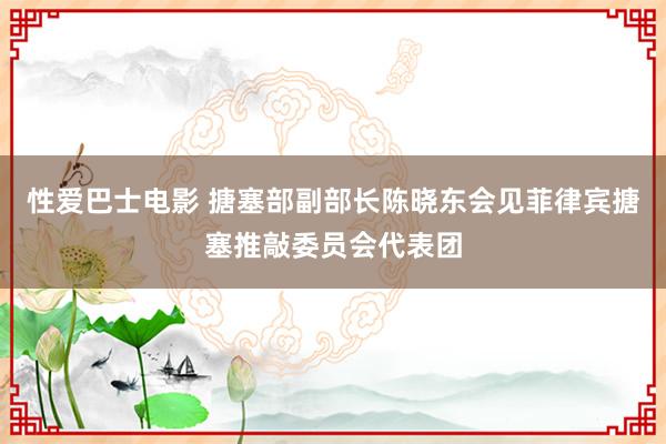 性爱巴士电影 搪塞部副部长陈晓东会见菲律宾搪塞推敲委员会代表团