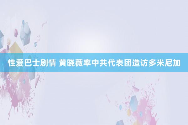 性爱巴士剧情 黄晓薇率中共代表团造访多米尼加