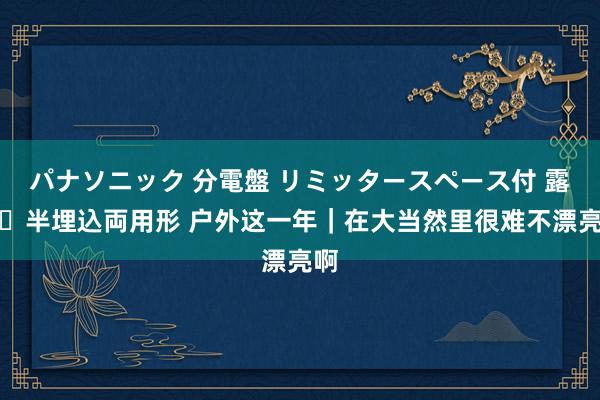 パナソニック 分電盤 リミッタースペース付 露出・半埋込両用形 户外这一年｜在大当然里很难不漂亮啊