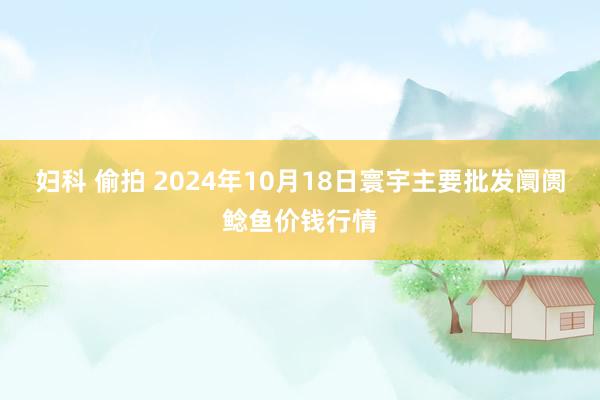 妇科 偷拍 2024年10月18日寰宇主要批发阛阓鲶鱼价钱行情