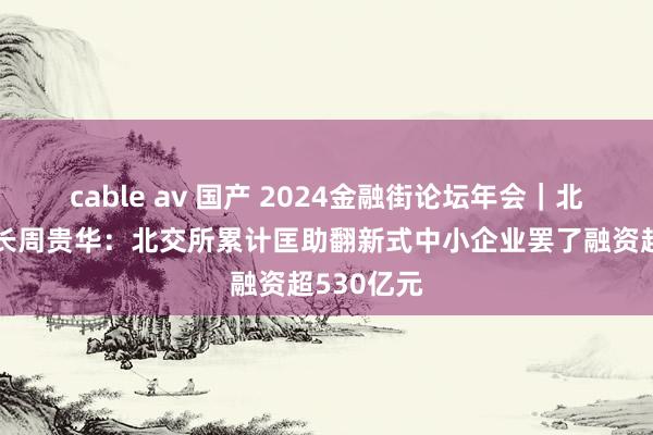 cable av 国产 2024金融街论坛年会｜北交所董事长周贵华：北交所累计匡助翻新式中小企业罢了融资超530亿元