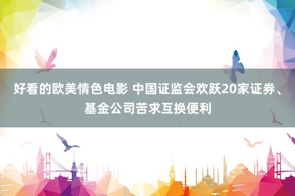 好看的欧美情色电影 中国证监会欢跃20家证券、基金公司苦求互换便利