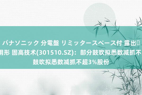 パナソニック 分電盤 リミッタースペース付 露出・半埋込両用形 固高技术(301510.SZ)：部分鼓吹拟悉数减抓不超3%股份