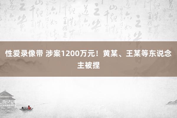 性爱录像带 涉案1200万元！黄某、王某等东说念主被捏