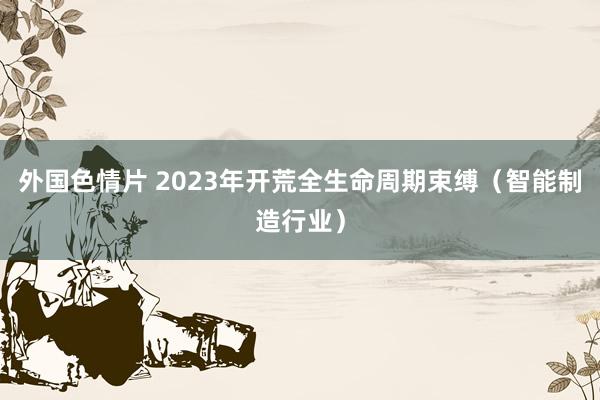 外国色情片 2023年开荒全生命周期束缚（智能制造行业）