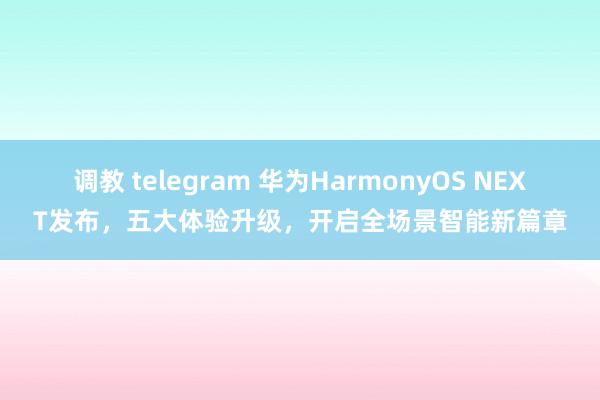 调教 telegram 华为HarmonyOS NEXT发布，五大体验升级，开启全场景智能新篇章