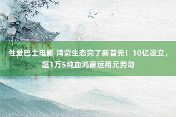 性爱巴士电影 鸿蒙生态完了新首先！10亿设立，超1万5纯血鸿蒙运用元劳动