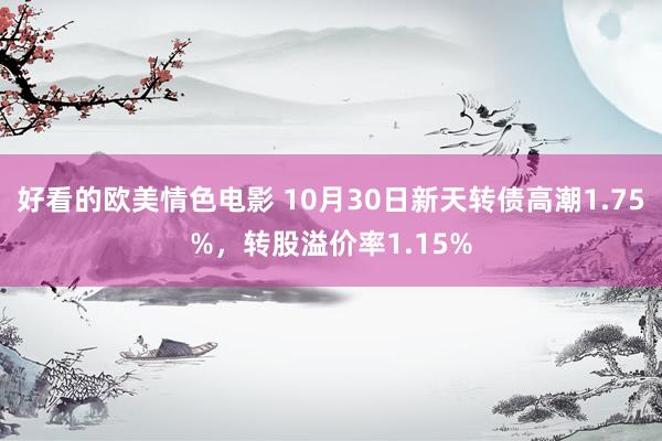 好看的欧美情色电影 10月30日新天转债高潮1.75%，转股溢价率1.15%