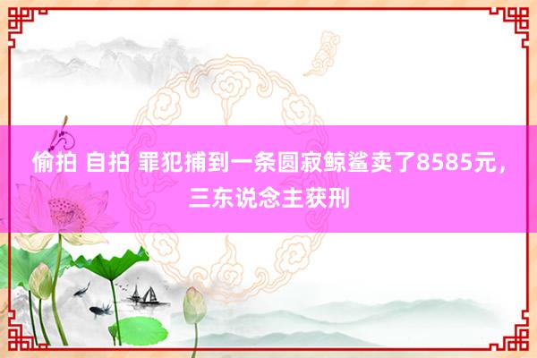 偷拍 自拍 罪犯捕到一条圆寂鲸鲨卖了8585元，三东说念主获刑