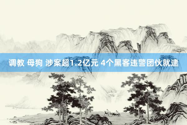 调教 母狗 涉案超1.2亿元 4个黑客违警团伙就逮