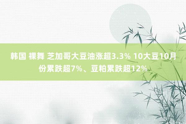 韩国 裸舞 芝加哥大豆油涨超3.3% 10大豆10月份累跌超7%、豆粕累跌超12%