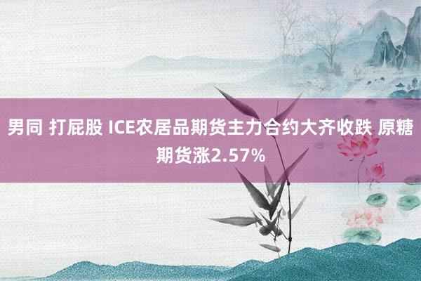 男同 打屁股 ICE农居品期货主力合约大齐收跌 原糖期货涨2.57%