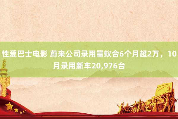 性爱巴士电影 蔚来公司录用量蚁合6个月超2万，10月录用新车20，976台