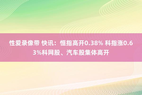 性爱录像带 快讯：恒指高开0.38% 科指涨0.63%科网股、汽车股集体高开