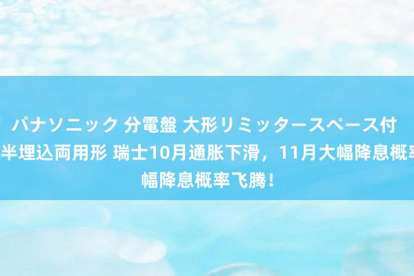 パナソニック 分電盤 大形リミッタースペース付 露出・半埋込両用形 瑞士10月通胀下滑，11月大幅降息概率飞腾！