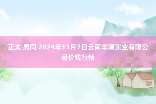 正太 男同 2024年11月7日云南华潮实业有限公司价钱行情