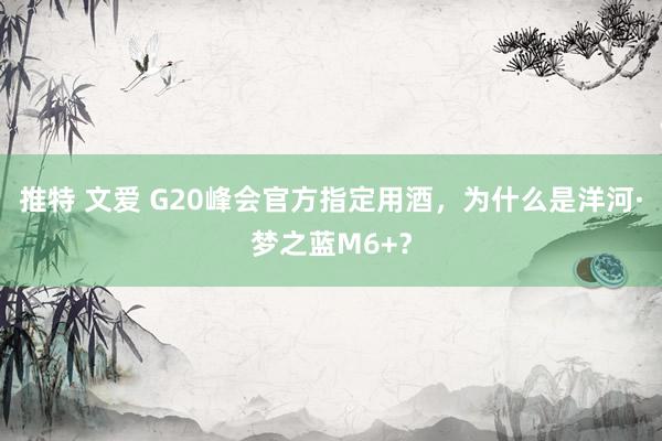 推特 文爱 G20峰会官方指定用酒，为什么是洋河·梦之蓝M6+？