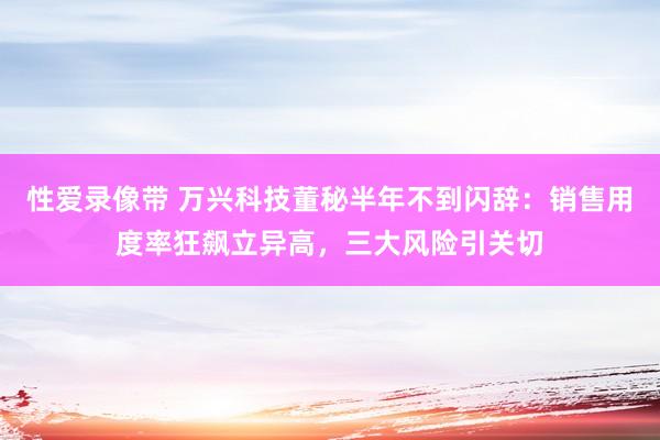 性爱录像带 万兴科技董秘半年不到闪辞：销售用度率狂飙立异高，三大风险引关切