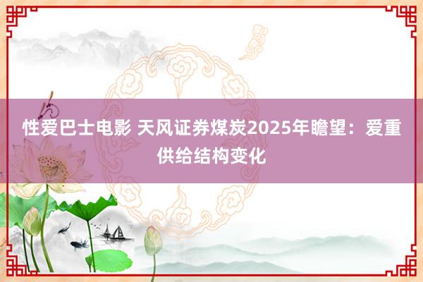 性爱巴士电影 天风证券煤炭2025年瞻望：爱重供给结构变化