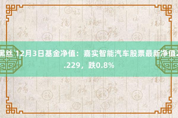 黑丝 12月3日基金净值：嘉实智能汽车股票最新净值2.229，跌0.8%