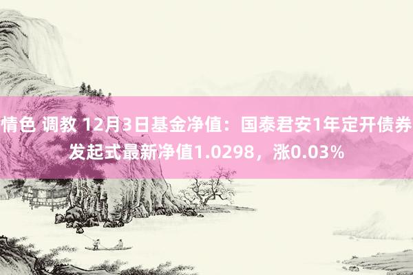 情色 调教 12月3日基金净值：国泰君安1年定开债券发起式最新净值1.0298，涨0.03%