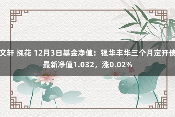 文轩 探花 12月3日基金净值：银华丰华三个月定开债最新净值1.032，涨0.02%