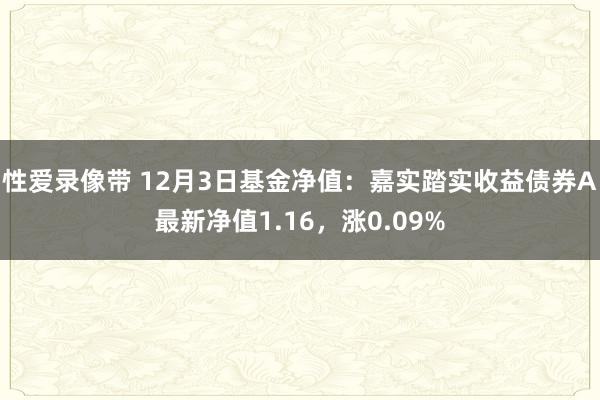 性爱录像带 12月3日基金净值：嘉实踏实收益债券A最新净值1.16，涨0.09%